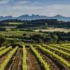 Destination le Penedès