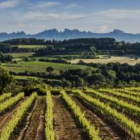 Destination le Penedès