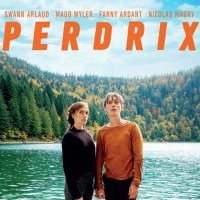 Coup de coeur à l'IFB : film « PERDRIX »